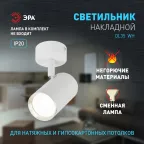 Светильник настенно-потолочный спот OL35 WH MR16 GU10 IP20 белый, хром
