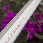 Линейный светильник красно-синего спектра FITO-14W-Т5-N (30/840)