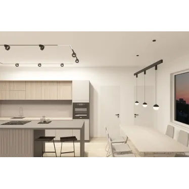 Светильник подвесной SMART MOON 12 Вт DIM 3000 К-6000 К черн. алюм. акрил DENKIRS DK8056-BK