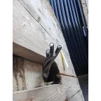 Провод СИП-2 3х120+1х70+2х16-0,6/1