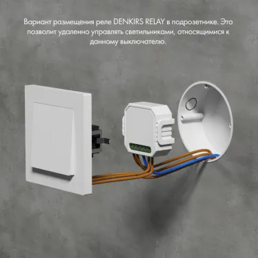 Реле-ди ммер двухканальное Wi-Fi 2x100 Вт DENKIRS RL1004-DM/1