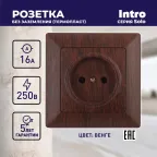 Розетка 2P, 16А-250В, СУ, Solo, венге, 4-201-10