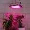 Фитопрожектор для растений светодиодный FITO-80W-RB-LED-Y красно-синего спектра