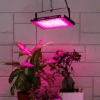 Фитопрожектор для растений светодиодный FITO-80W-RB-LED-Y красно-синего спектра