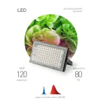 Фитопрожектор для растений светодиодный FITO-80W-RB-LED-Y красно-синего спектра