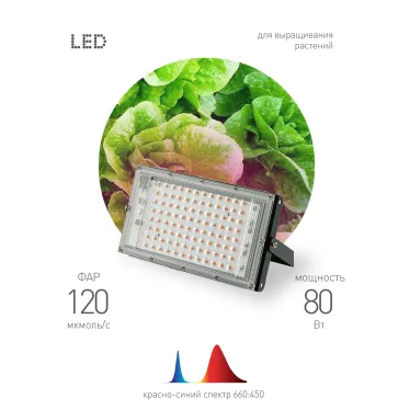 Фитопрожектор для растений светодиодный FITO-80W-RB-LED-Y красно-синего спектра
