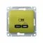 GLOSSA USB РОЗЕТКА тип-C 65W высокоскор.заряд. QC, PD, механизм, ФИСТАШКОВЫЙ