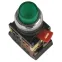 Кнопка зеленая ABLFP-22 1з+1р с подсветкой неон 240В