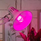 Лампа светодиодная лампа для рассады тип А60, 10 Вт, 220-240V FITO-10W-RB-E27-K