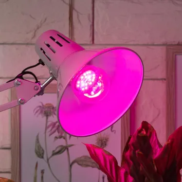 Лампа светодиодная лампа для рассады тип А60, 10 Вт, 220-240V FITO-10W-RB-E27-K