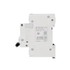 Выключатель автоматический двухполюсный 50А B 4.5kA 230В City9 Set