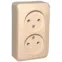 ЭТЮД Розетка двойная наружная без заземления без шторок Сосна