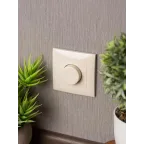 Валенсия светорегулятор 600W 220В кремовый