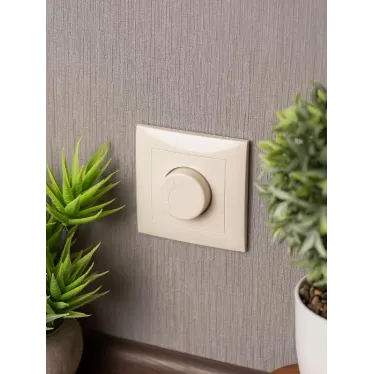 Валенсия светорегулятор 600W 220В кремовый