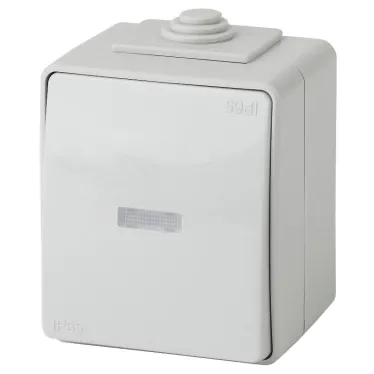 Выключатель с подсветкой IP65, 10АХ-250В, ОУ, Эра Эксперт, серый,11-1602-03