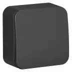 Выключатель BLANCA одноклавишный наружный (схема 1) 10A 250B антрацит