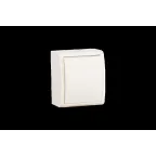 Выключатель одноклавишный, IP54 10А 250В винтовой зажим, S15A слоновая кость