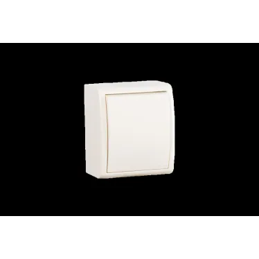 Выключатель одноклавишный, IP54 10А 250В винтовой зажим, S15A слоновая кость