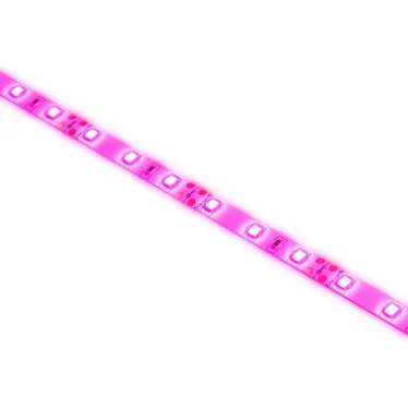 Светодиодная лента для растений FITO-Strip Light-RB-2m красно-синего спектра, 2 м, IP65