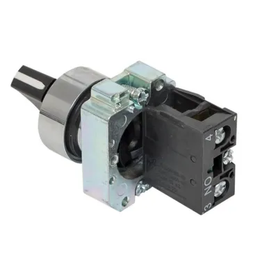 Переключатель BD21 2P короткая ручка NO