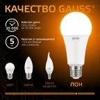 Лампа светодиодная Black LED A70 22W E27 1560lm 3000K | 102502122 | Gauss