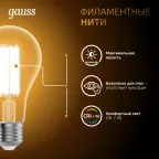 Лампа светодиодная Filament А70 26W 2600lm 2700К Е27 LED 1/10/40 | 102902126 | Gauss