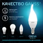Лампа светодиодная Black LED Свеча на ветру E14 9.5W 950lm 4100K | 104101210 | Gauss