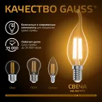 Лампа светодиодная Filament Свеча на ветру 13W 1100lm 2700К Е14 LED 1/10/50 | 104801113 | Gauss