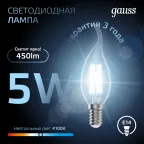 Лампа светодиодная LED 5Вт E14 220В 4100К свеча на ветру | 104801205 | Gauss