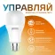 Лампа Светодиодная Smart Home DIM+CCT E27 A60 8.5 Вт 1/10/100 | 1130112 | Gauss