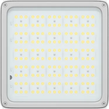 Светильник светодиодный ДСП INSEL LB/S LED G3 100W D90 850108Вт 5000К IP66 WH SB | 1334003570 | Световые Технологии