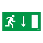 Пиктограмма (наклейка) ПЭУ 092 Указатель двери правосторонний (250х115) SIRAH | 2502001940 | Световые Технологии