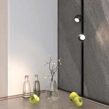 Светильник MAG-ORIENT-ORB-R60-10W Day4000 (BK, 35 deg, 48V) (Arlight, IP20 Металл, 5 лет) | 035758 | Arlight