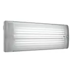 Указатель аварийный люминисцентный URAN 6511-8 2,5Вт 1ч непостоянный накладной IP65 | 4501001020 | Световые Технологии