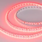 Лента светодиодная RT-GM288-12mm 24V RGBW-MIX (19.2 W/m, IP20, 3838/2216, 5m) (arlight, Открытый) | 028258(2) | Arlight