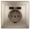 1-410-04 Intro Розетка+USB, IP20, СУ, Plano, шампань | Б0043250 | Intro