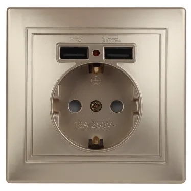 1-410-04 Intro Розетка+USB, IP20, СУ, Plano, шампань | Б0043250 | Intro