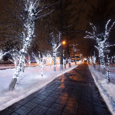 Гирлянда «LED Клип-лайт» 12 V, прозрачный ПВХ, 150 мм, цвет диодов белый | 325-155 | NEON-NIGHT