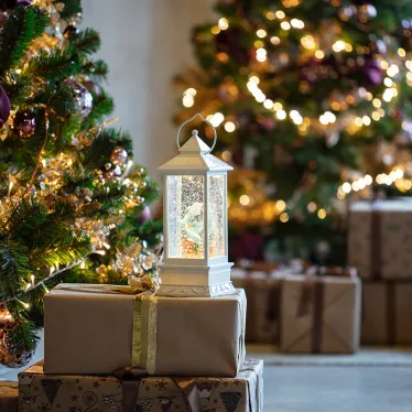 Декоративный светильник Дельфины с конфетти, USB | 501-173 | NEON-NIGHT