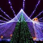 Светодиодная гирлянда ARD-STRING-CLASSIC-10000-BLACK-100LED-FLASH BLUE (230V, 7W) | 025803 | Arlight