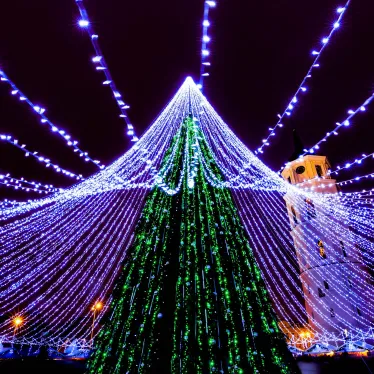 Светодиодная гирлянда ARD-STRING-CLASSIC-10000-BLACK-100LED-FLASH BLUE (230V, 7W) | 025803 | Arlight