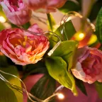 Гирлянда Твинкл Лайт 4 м, прозрачный ПВХ, 25 LED, цвет ТЕПЛЫЙ БЕЛЫЙ | 303-166 | NEON-NIGHT