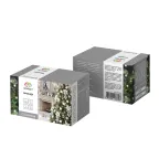 Гирлянда Твинкл-Лайт 4 м, 25 LED, прозрачный ПВХ, цвет свечения белый | 303-165 | NEON-NIGHT