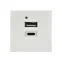 PRIMER РКЮ-25-40-П Розетка USB A+C 5В 4,2А (2 модуля) белая IEK