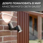 Светильник садово-парковый Sonata настенный архитектурный, 2xGU10, 221x155x70mm, 170-240V / 50Hz, 2xMax.35W, IP54 | GD152 | Gauss