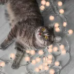 Гирлянда садовая на солнечной батарее 20 LED ламп Большие Шары Белый свет Solar, 1/12 | GS034 | Gauss