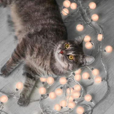 Гирлянда садовая на солнечной батарее 20 LED ламп Большие Шары Белый свет Solar, 1/12 | GS034 | Gauss