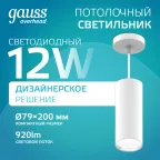 Светильник светодиодный накладной/подвесной HD036 12W (белый/белый) 4100K 79*200мм 1/10 | HD036 | Gauss