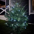 Гирлянда "Твинкл Лайт" 10 м,  черный ПВХ, 100 диодов, цвет белый | 303-135 | NEON-NIGHT