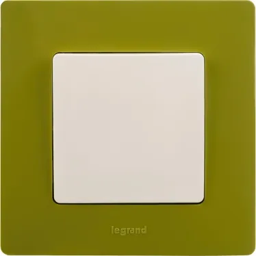 ETIKA Рамка 1 пост зеленый папоротник